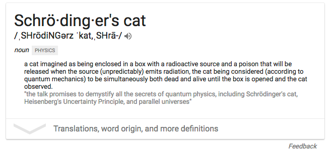 Learning Gotcha: How We Misunderstood Schrödinger's Cat